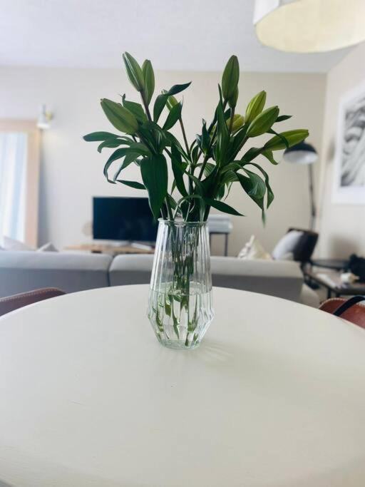 A Zen And Chic Beachfront Apartment 斯瓦科普蒙德 外观 照片